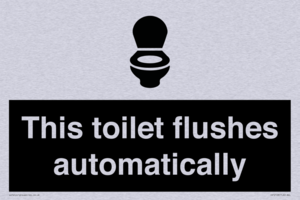 This toilet flushes automatically